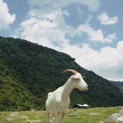 味道秦岭 User Photo
