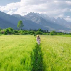 小岛家 User Photo