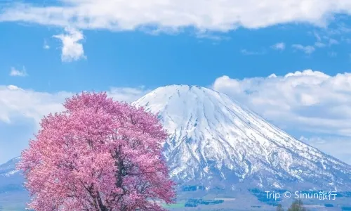 羊蹄山