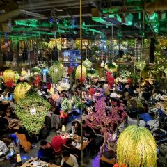 胡桃里音乐酒馆(北斗星城店) User Photo