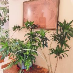 只有一间(新天地店) User Photo