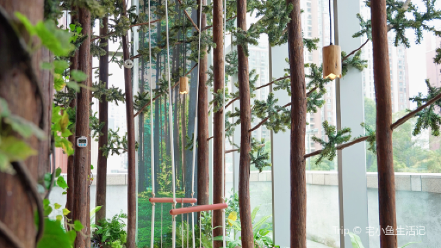 Muyu Forest (Chengdu MixC Store)