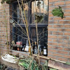 老白食堂·海鲜酸菜锅 User Photo