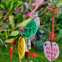 Club Med Lijiang Resort - Baisha Restaurant User Photo