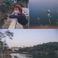 茶故事农庄 여행 사진