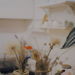 馥约花艺咖啡 User Photo