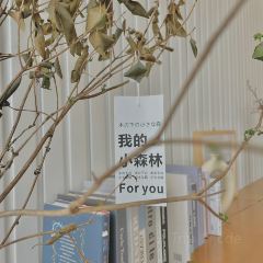 里面有光 User Photo