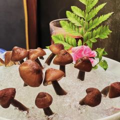 禄婶鸡煲·香港打边炉(罗湖国贸店) User Photo