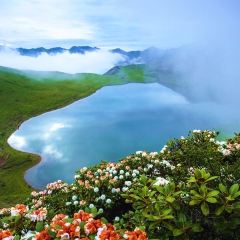 茂县千山雪设计师民宿·餐厅 ảnh của người dùng