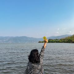森伯SIMPLE.TEA(西客站店) User Photo