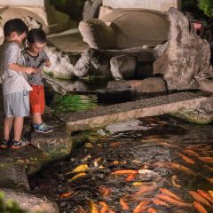 進福炒鱔魚專家 User Photo