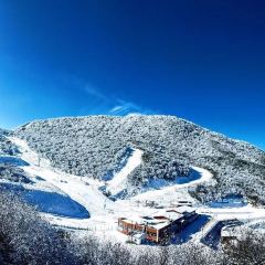 茂县千山雪设计师民宿·餐厅 ảnh của người dùng
