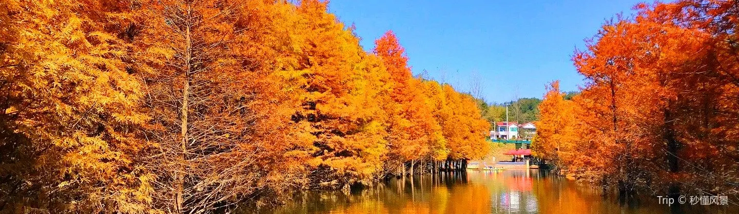 Fall Viewing Attractions