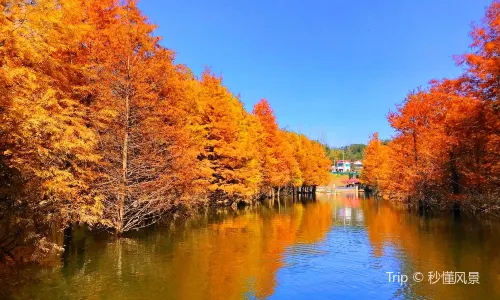 Qinglong Bay Eco-Tourism Area