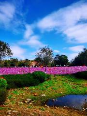 Xiang Mountain Park