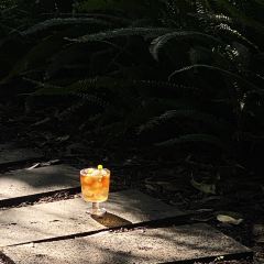 Wild Coffee Studio User Photo
