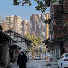 吴氏大枣兔 User Photo