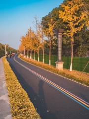 Yuzui Wetland Park