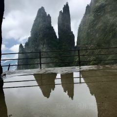 莽山天台山美食 User Photo