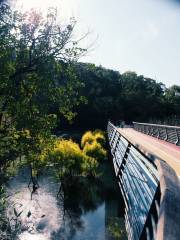 福山郊野公園-臥牛潭（彩虹步道）