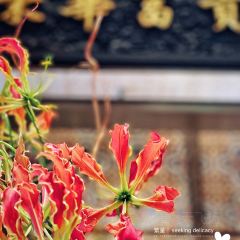 荣苑荟馆(印象城店) User Photo