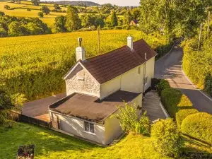 Popular Best Things to Do in Exeter
