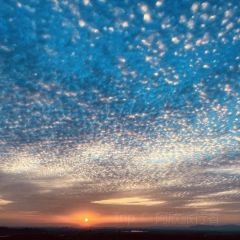 花果山姚姚土窯雞場張用戶圖片