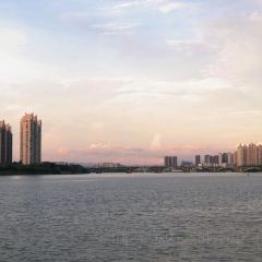 僑越卷粉張用戶圖片