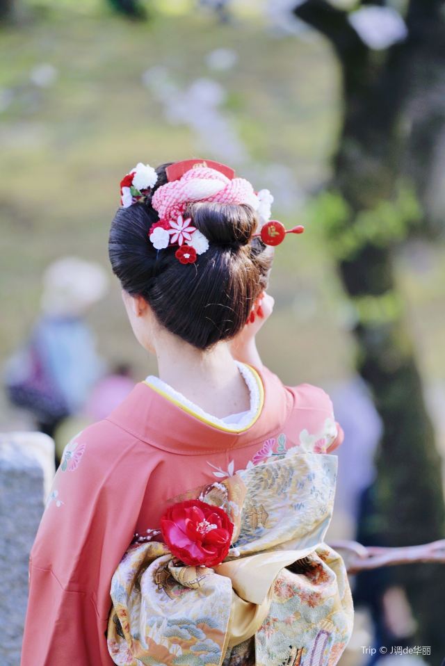 Ishiwarizakura