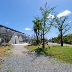 东篱下休闲农庄 User Photo