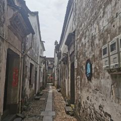 前良麦镬 User Photo