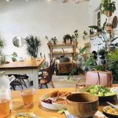 盖伦的院 User Photo