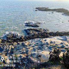 問海張用戶圖片
