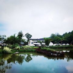 鲜道幸福里(重庆路店) User Photo