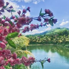 庄园餐厅咖啡鸡本地特色菜 User Photo