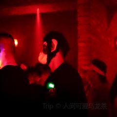 Orangutan Bunker User Photo