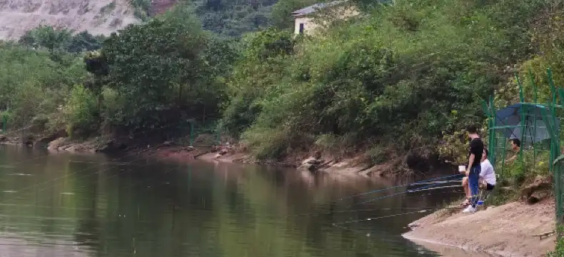 Hotels in Hailun