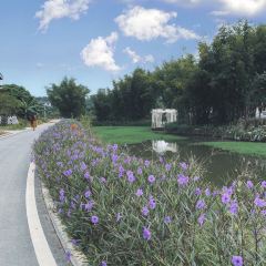 岭澜食尚 User Photo