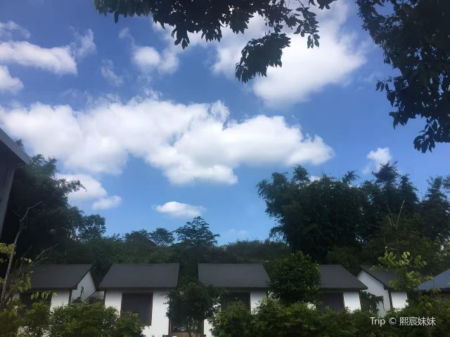 Peng's House