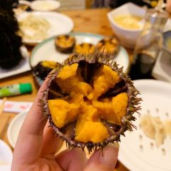 海胆小馆(春柳店) User Photo