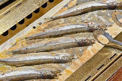 新石器烤肉(新沂吾悦店)