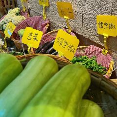 油菜花院子(万家丽店) User Photo