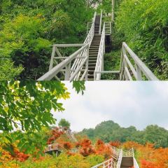 柒月麓山 여행 사진