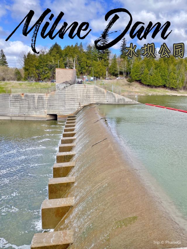 Milne Dam Conservation Park