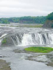 Cohoes Falls