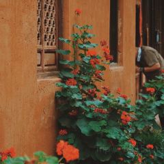 吃茶去 User Photo