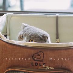 Manxiang Coffee User Photo