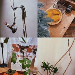 五月与遇(领地·凯旋帝景店) User Photo