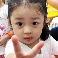 Yangtaoshujidanzai User Photo