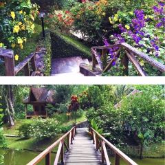 Vakona Forest Lodge User Photo